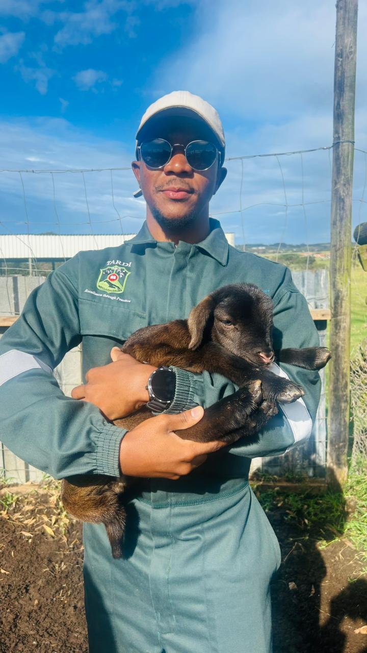 Programme staff member in field coveralls holding a lamb
