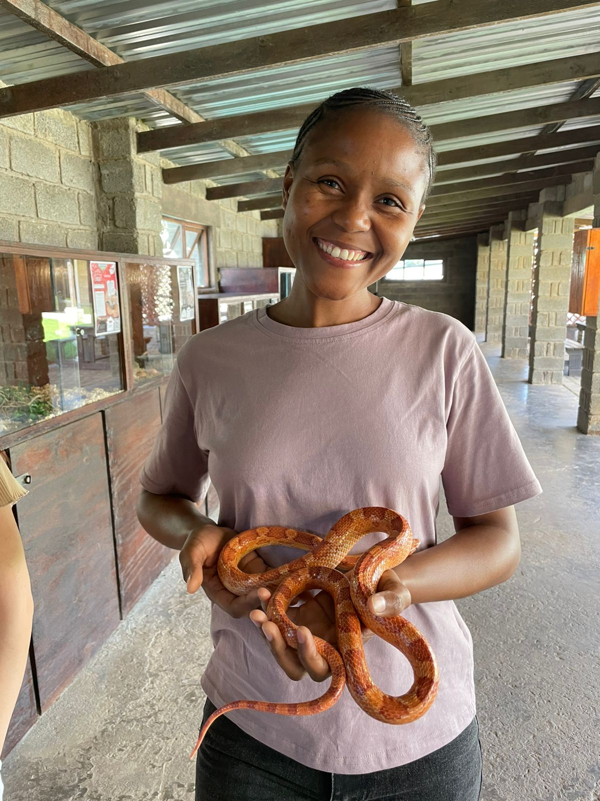 Participant handling a corn snake at the reptile facility