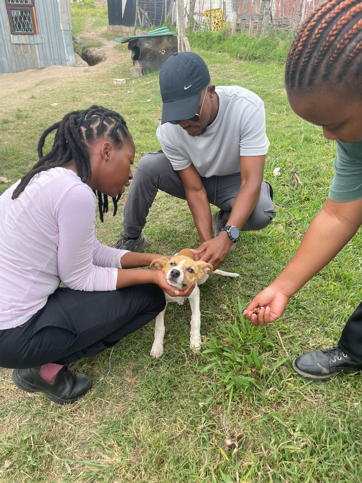 Outreach team examining a dog in a rural community