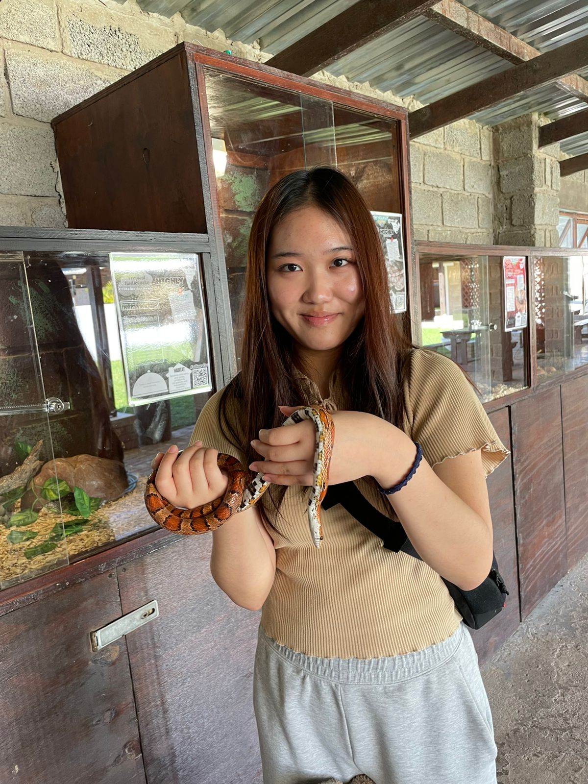 Participant confidently holding a corn snake at the reptile facility